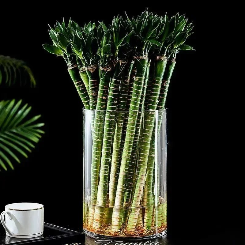 Home Decor Vase With Flowers - 2/4 szt. Akrylowy Wazon Cylindryczny Przezroczysta