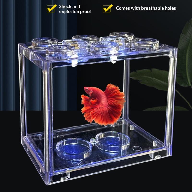 Akrylowe mini akwarium do ukła – Home Decor Habitat recenzja i cena