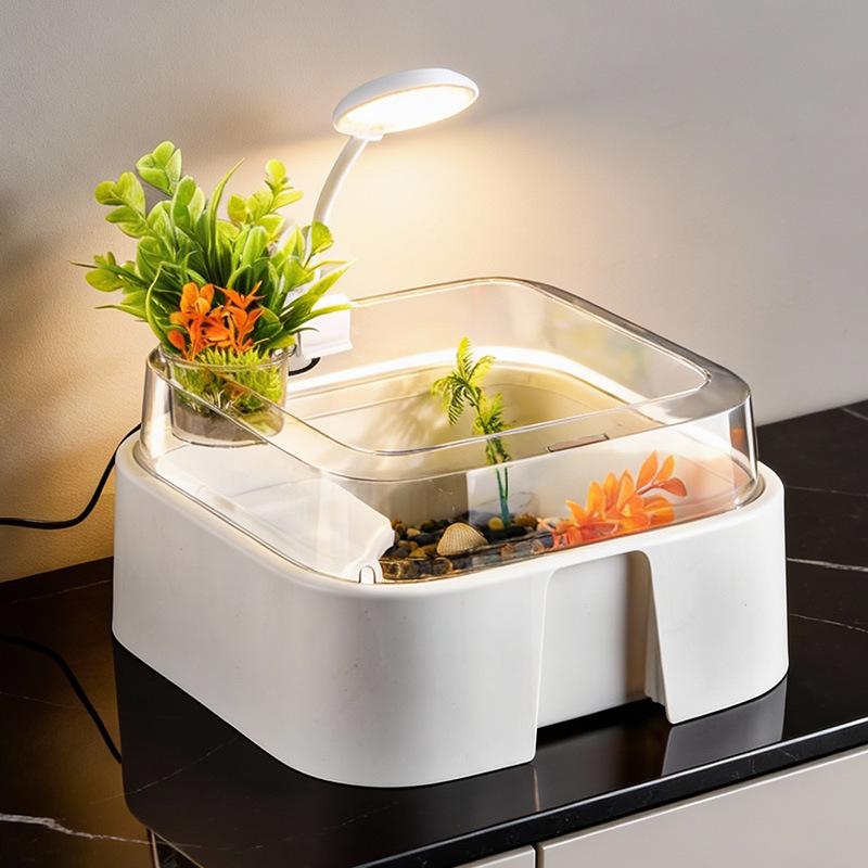 Nowy Przezroczysty Terrarium d – Home Decor Habitat recenzja i cena