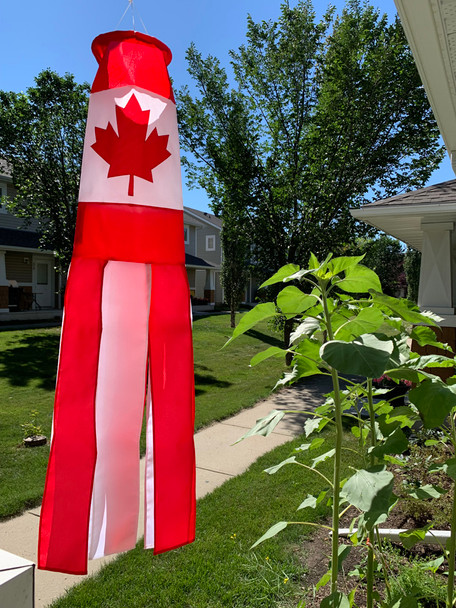 Dostawa bezpośrednio 2 sztuki  – Home Decor Canada recenzja i cena