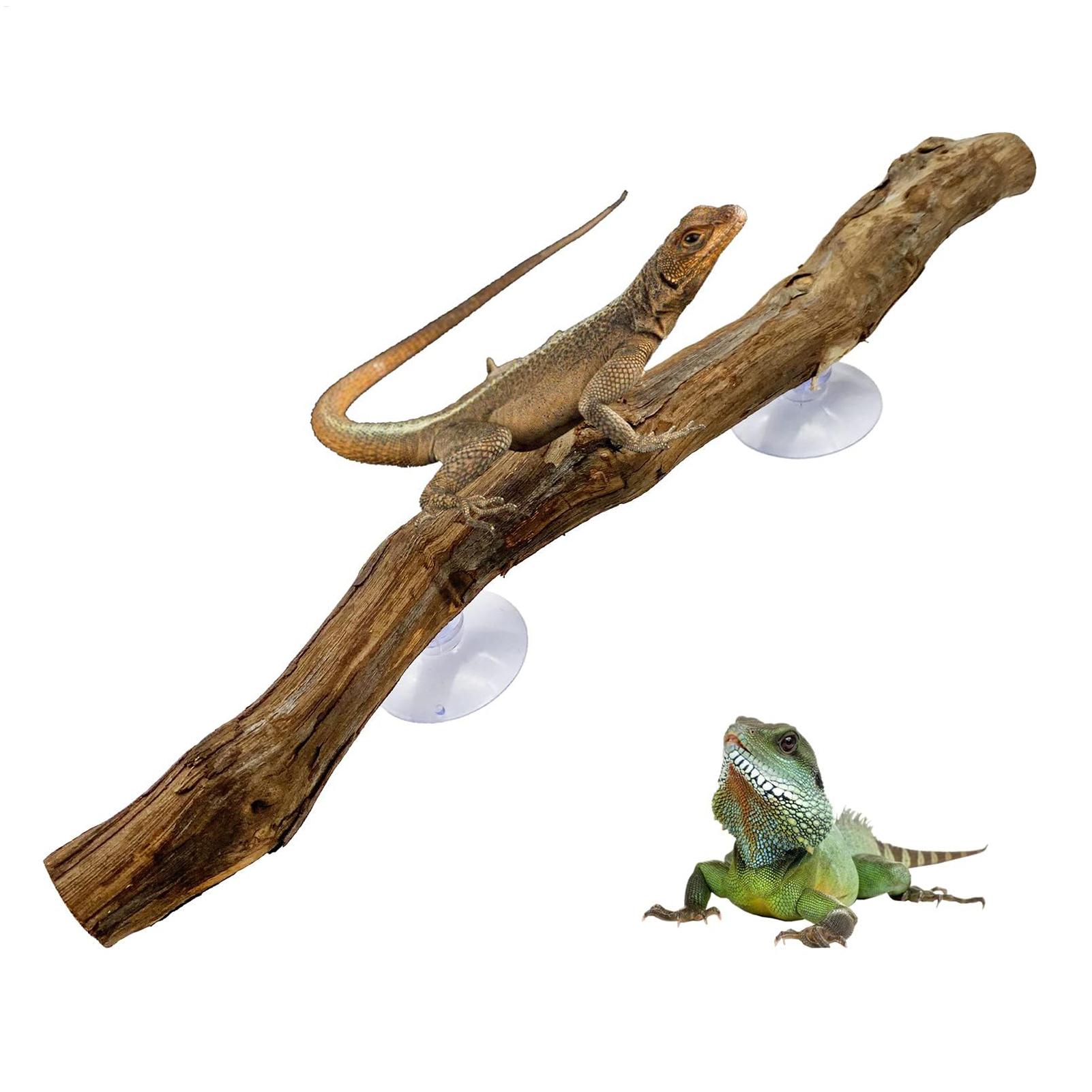 Narożnik do wspinaczki dla gad – Home Decor Habitat recenzja i cena