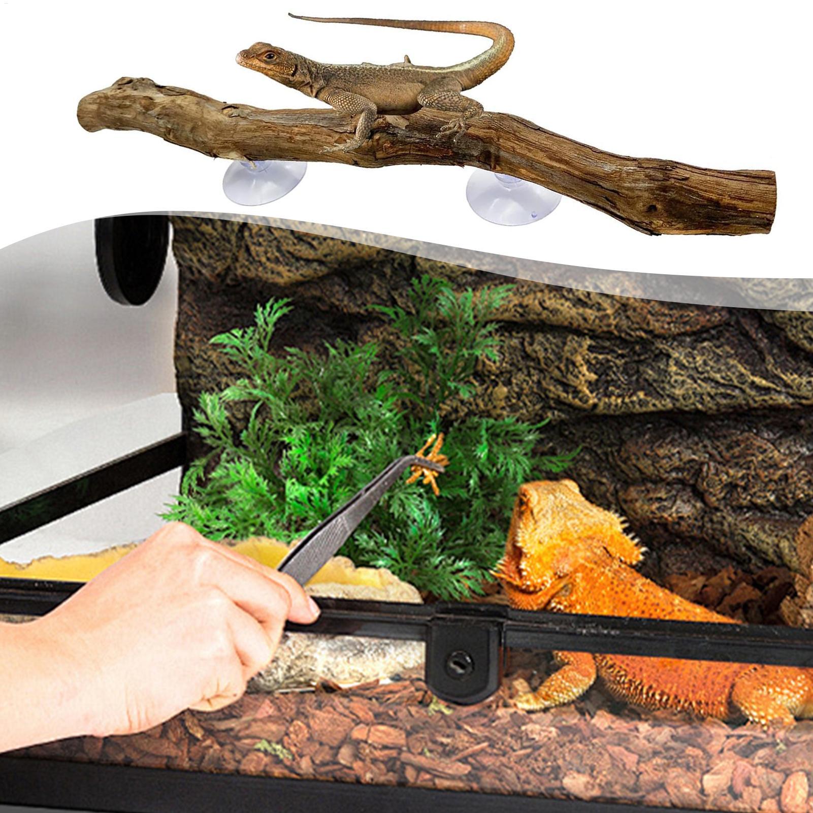 Narożnik do wspinaczki dla gad – Home Decor Habitat recenzja i cena